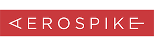 Endpoint Service: Aerospike